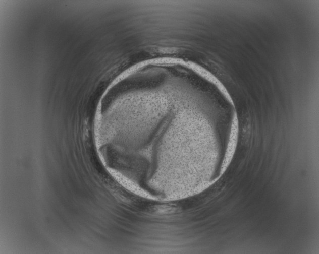 X0000080790555200701122150