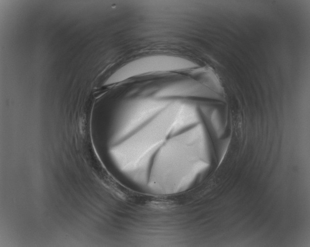 X0000080790556200701122150