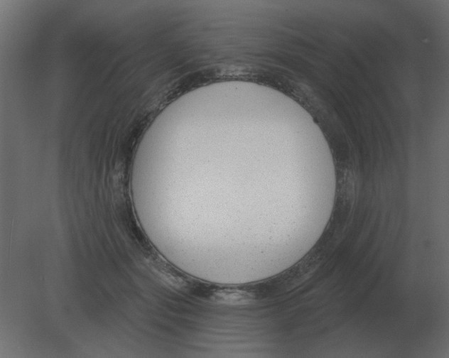 X0000080790557200701122150