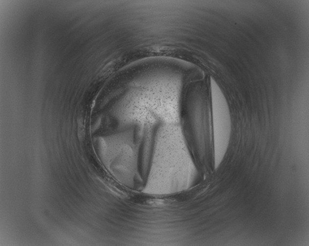 X0000080790558200701122150