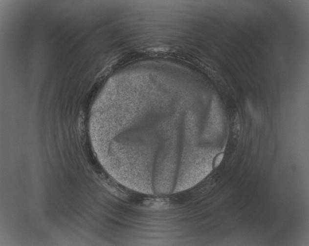 X0000080790559200701122150