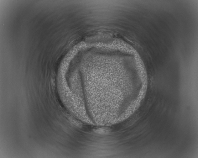 X0000080790561200701122151