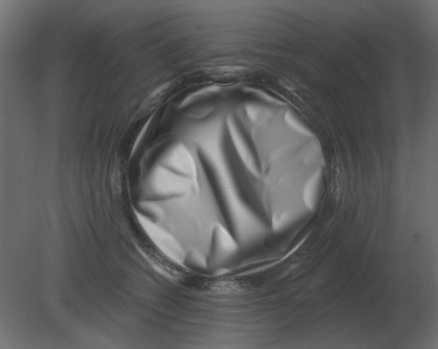 X0000080790562200701122151