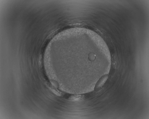 X0000080790563200701122151