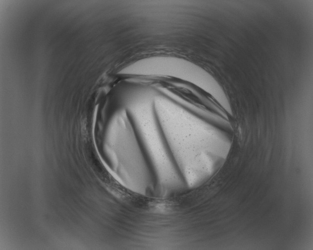 X0000080790564200701122151