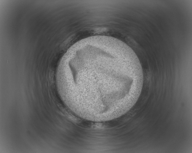 X0000080790565200701122151