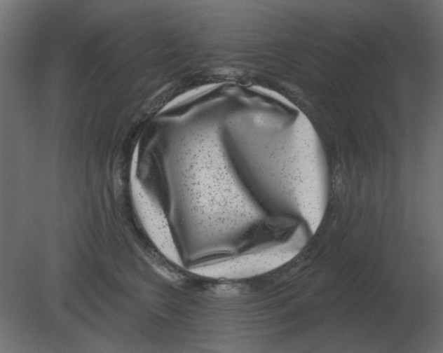 X0000080790566200701122151