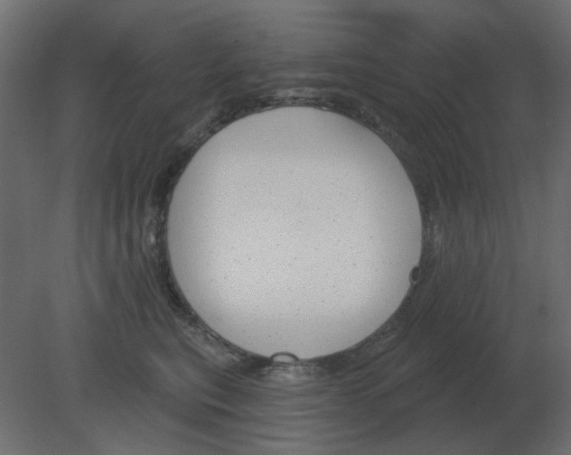 X0000080790567200701122151