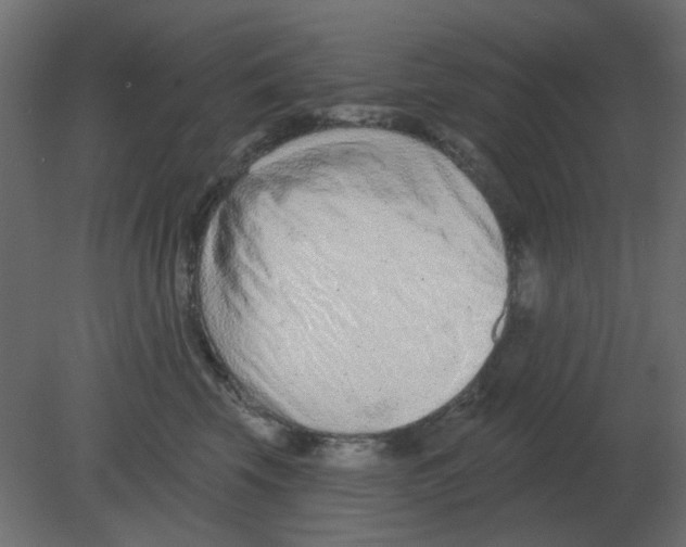 X0000080790569200701122151