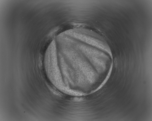 X0000080790570200701122151