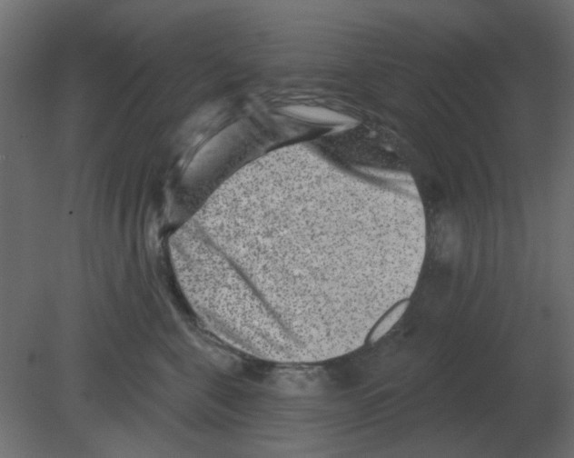 X0000080790571200701122151