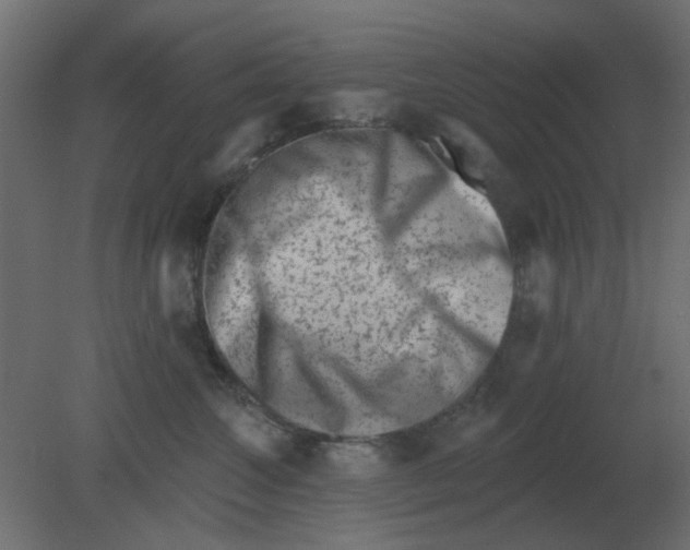 X0000080790572200701122151