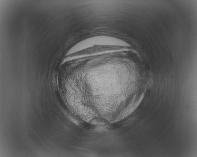 X0000080790573200701122151