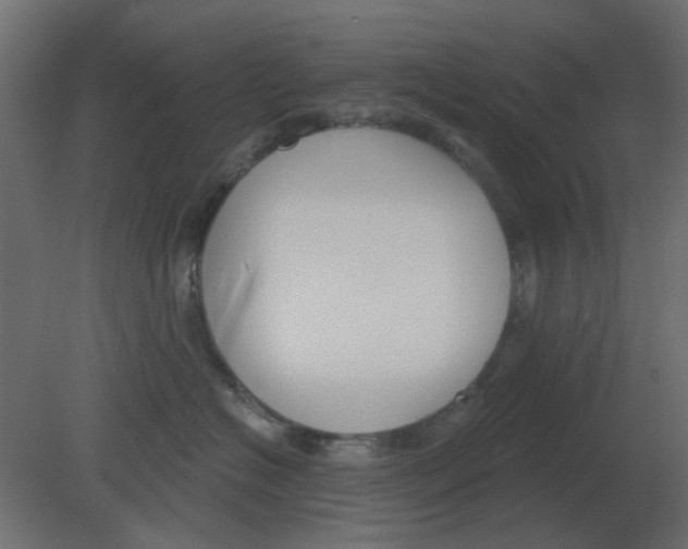 X0000080790574200701122151