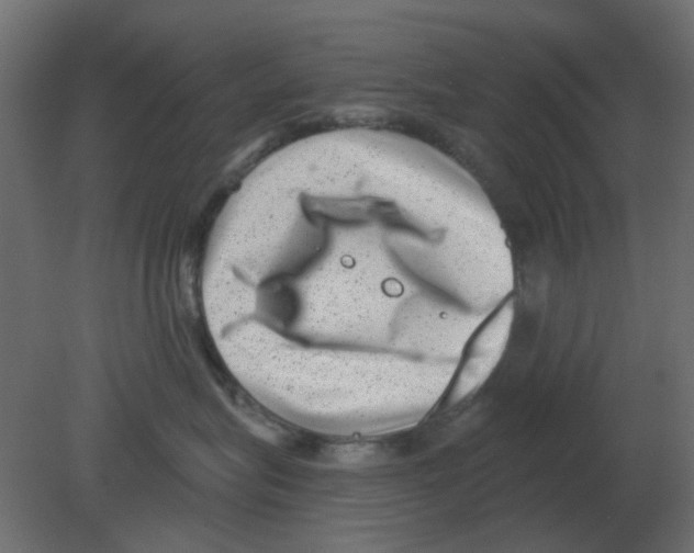 X0000080790575200701122151