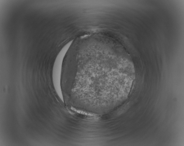 X0000080790576200701122151