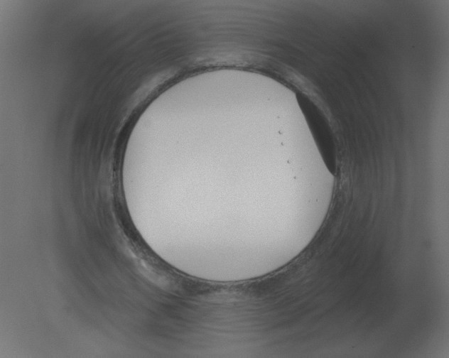 X0000080790578200701122150