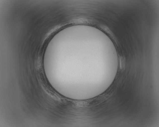 X0000080790579200701122150