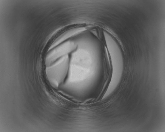 X0000080790580200701122150