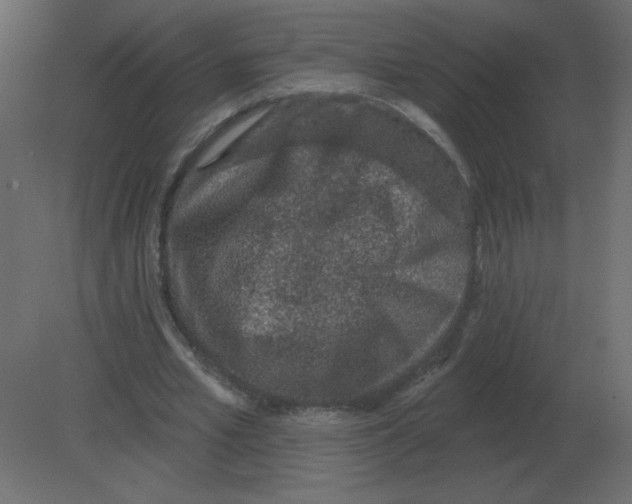 X0000080790581200701122150