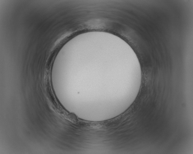 X0000080790583200701122150