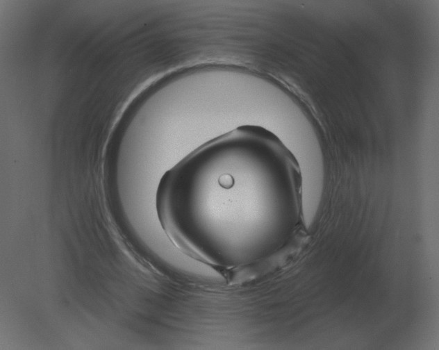 X0000080790584200701122150