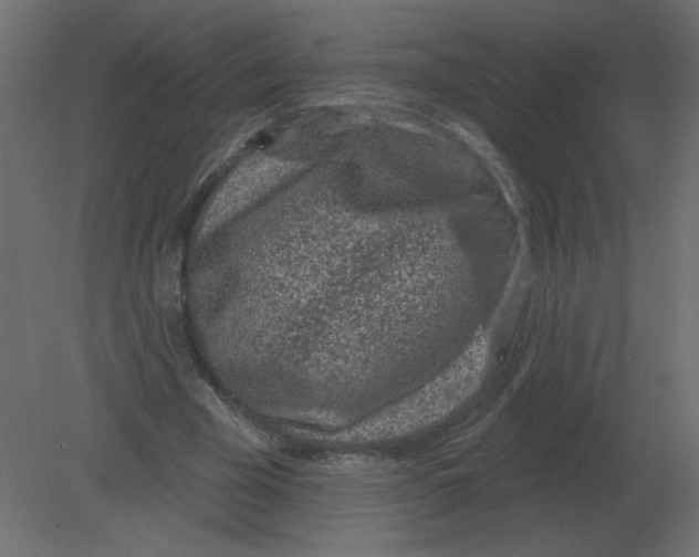 X0000080790585200701122150