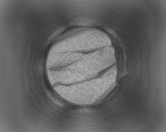 X0000080790586200701122150