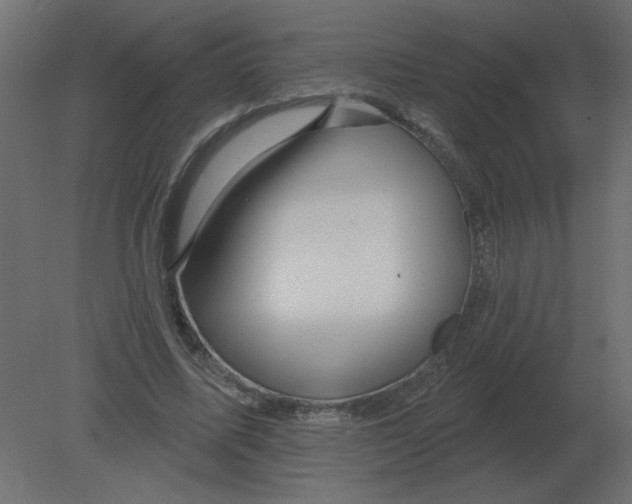 X0000080790587200701122150