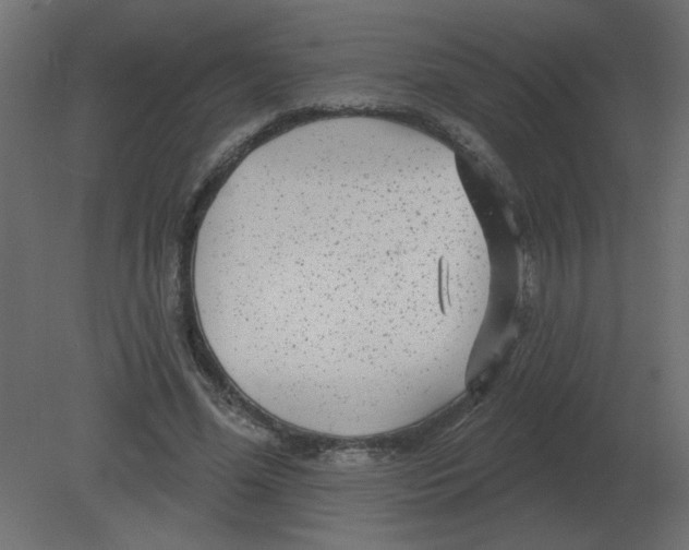 X0000080790588200701122150