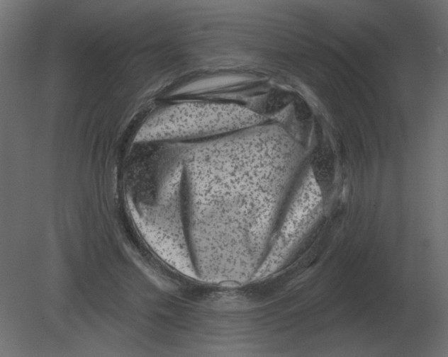 X0000080790589200701122150