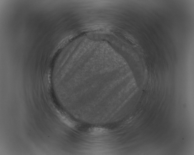 X0000080790590200701122150