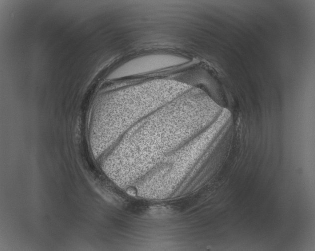 X0000080790591200701122150