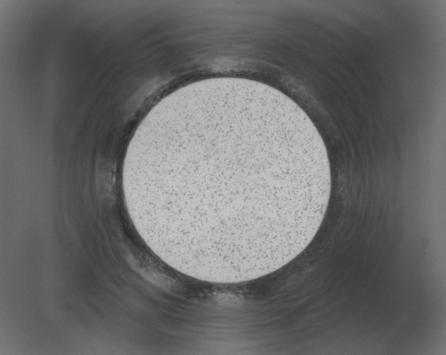 X0000080790592200701122150