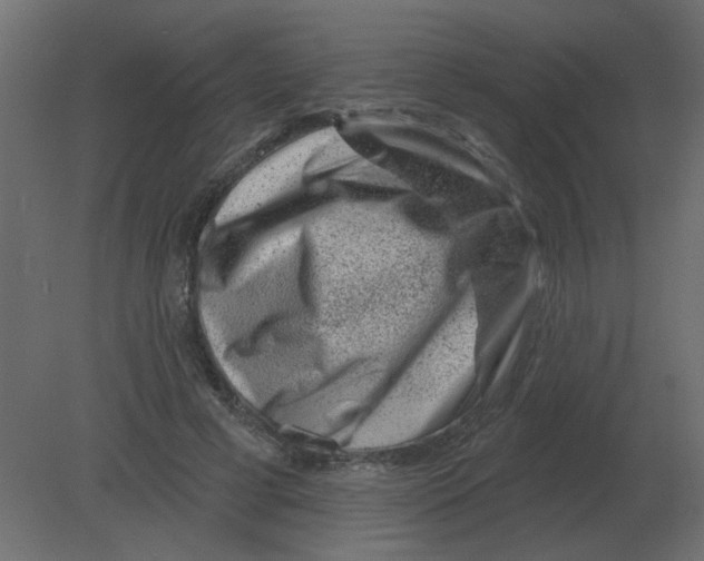 X0000080790593200701122150