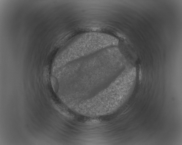 X0000080790594200701122150