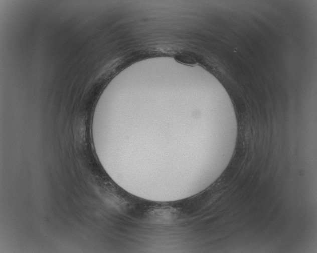 X0000080790595200701122150