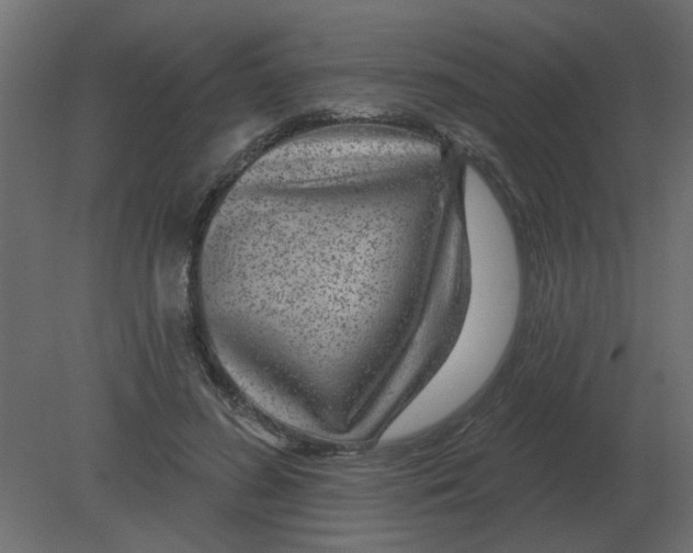 X0000080790596200701122150