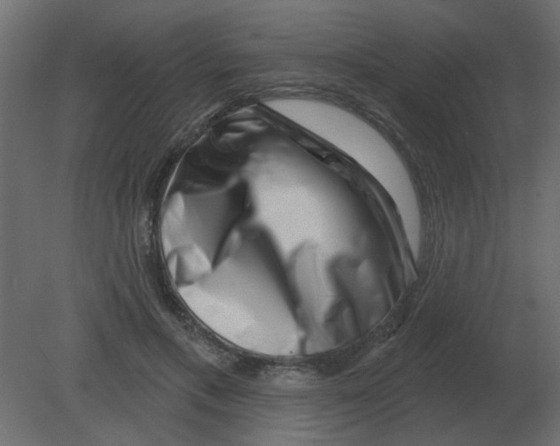 X0000080790597200701122150