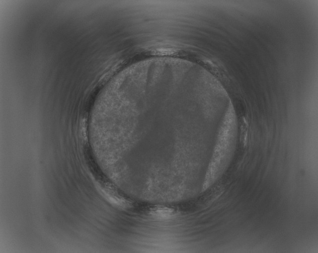 X0000080790598200701122150