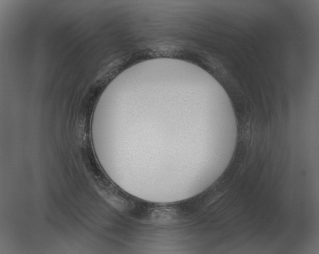 X0000080790599200701122150