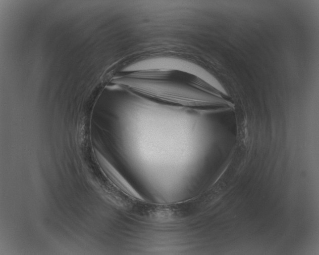 X0000080790600200701122150