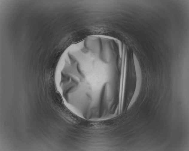 X0000080790601200701122150