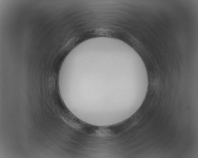 X0000080790603200701122150