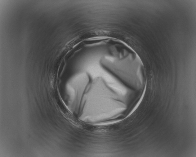 X0000080790604200701122150