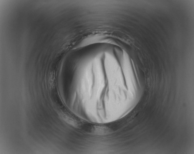 X0000080790605200701122149