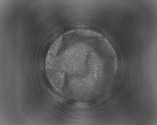 X0000080790606200701122149