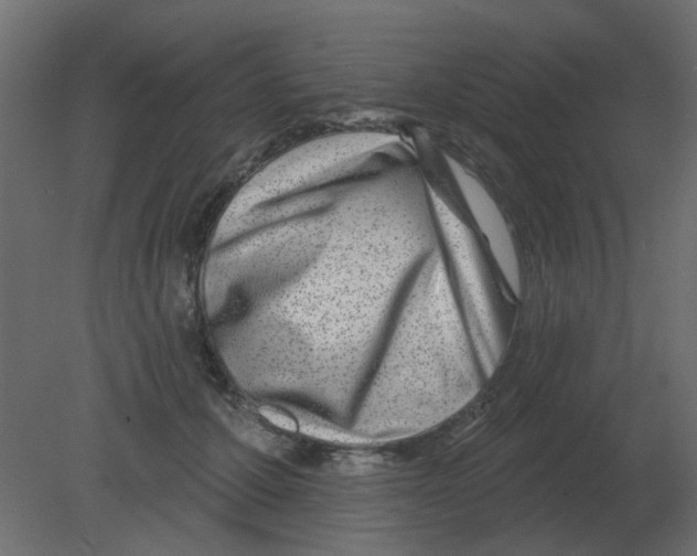 X0000080790607200701122149