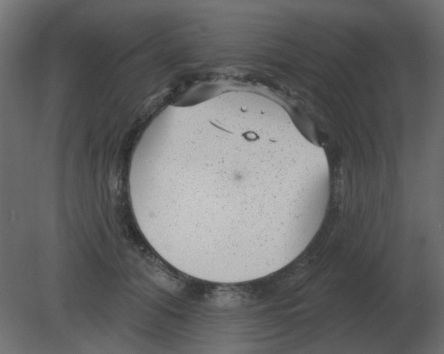 X0000080790608200701122149