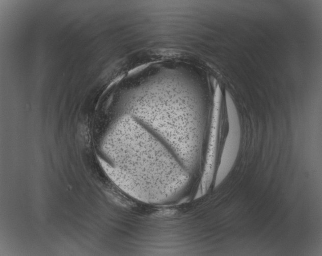 X0000080790609200701122149